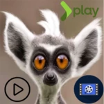 videos graciosos de animales android application logo